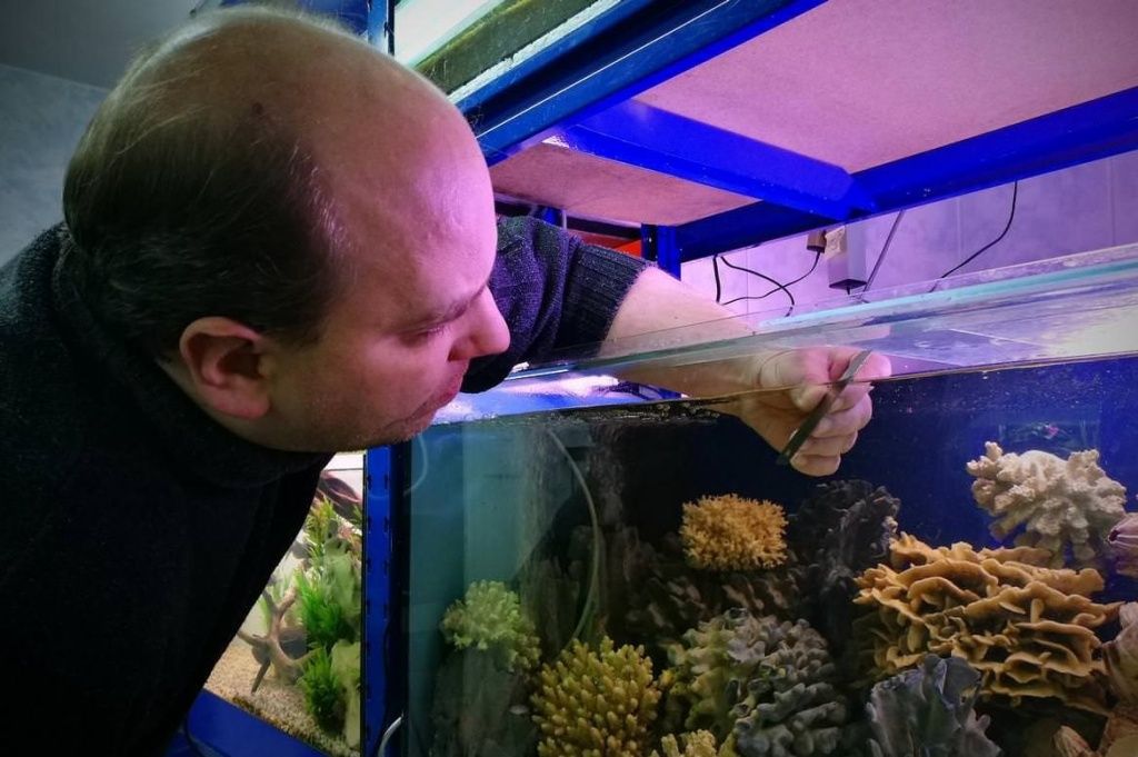 подготовка аквариума