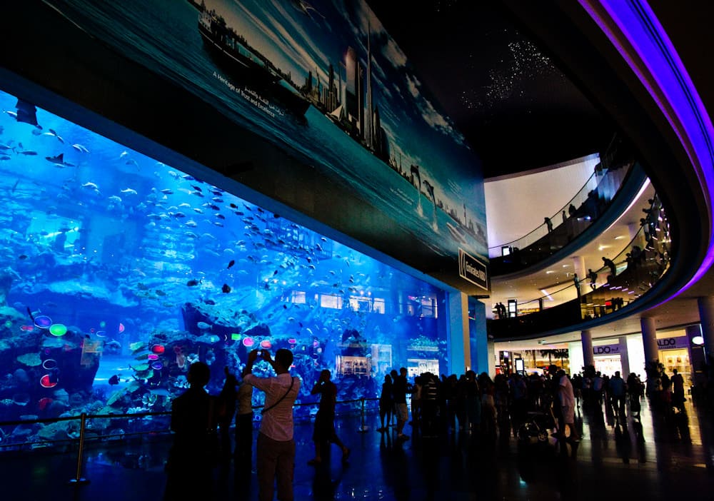 торговый центр с большим аквариумом