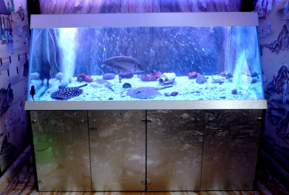 аквариум 2 метра в длину