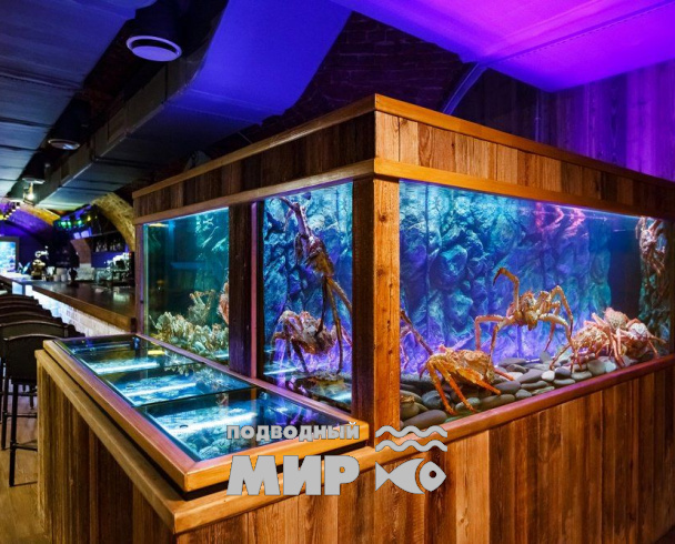 Холодный аквариум «под ключ» в ресторане «РЫБА МЕЧТЫ»