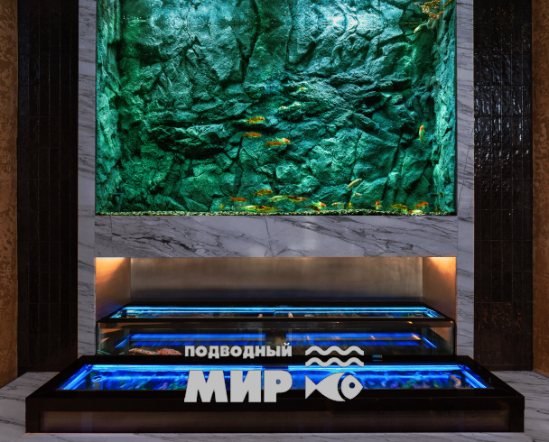 Пресноводный встроенный аквариум в ресторан «Гостидзе», г. Краснодар