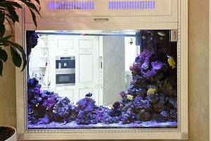 Купить аквариум с мягкими кораллами в Москве - фото 7