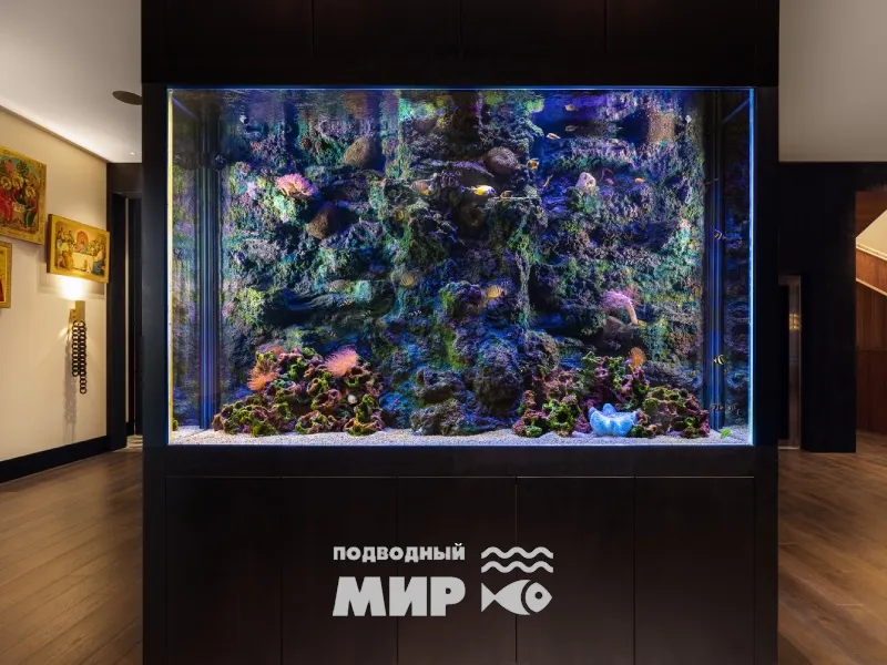 Живые кораллы морского аквариума