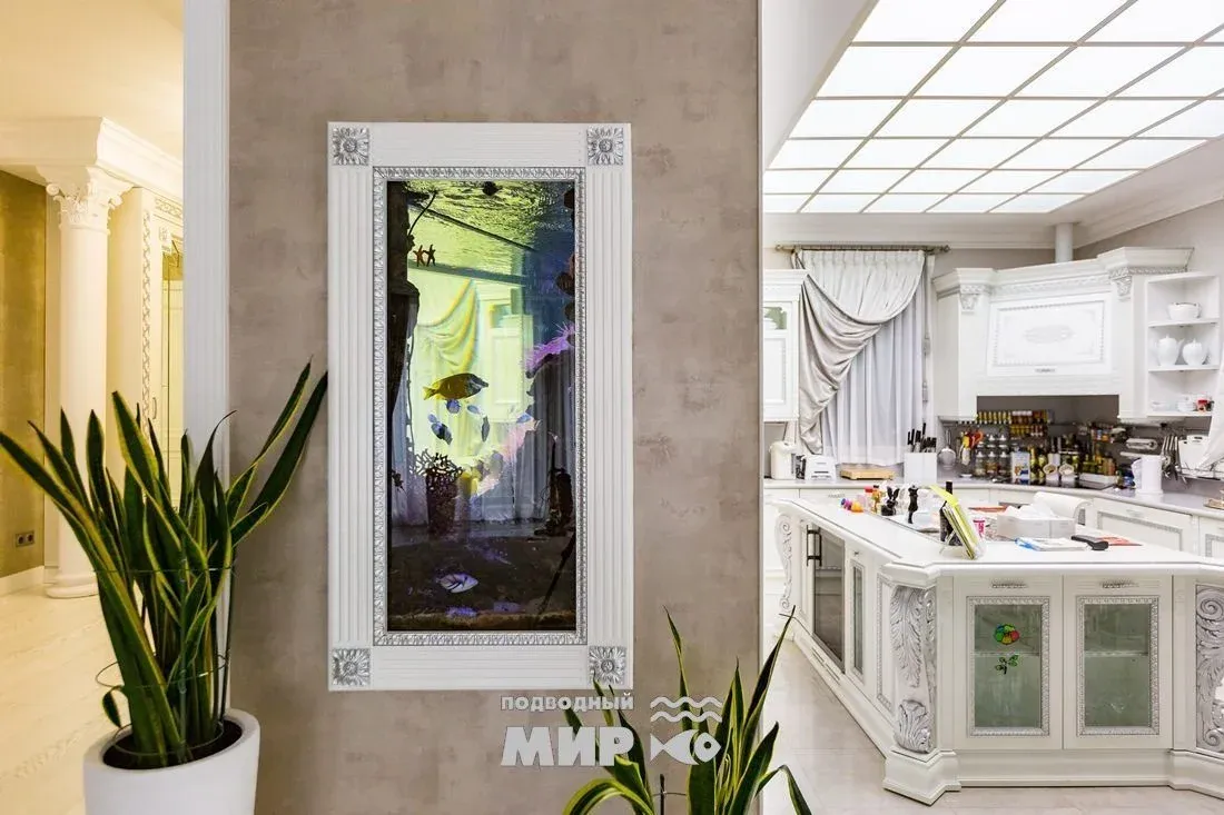 Мягкие кораллы в морском аквариуме