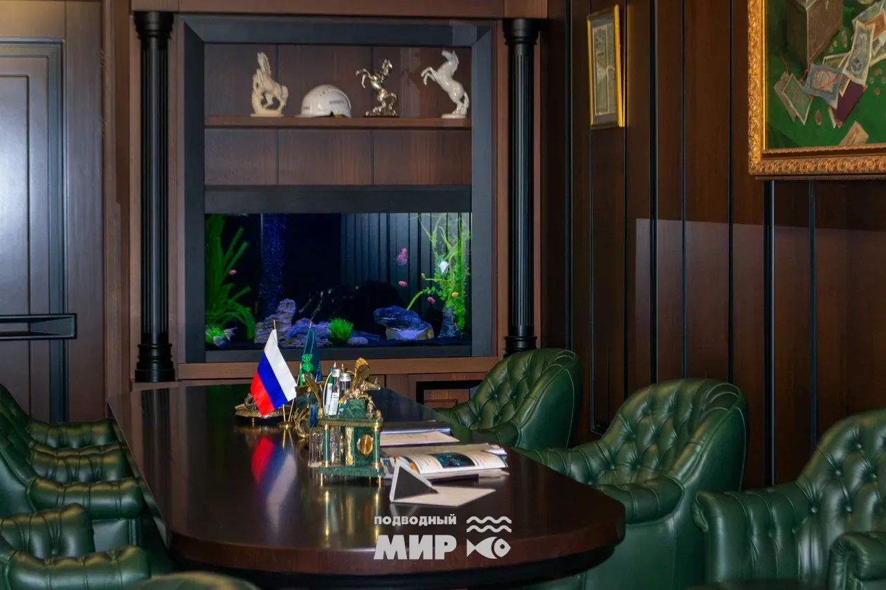 Морской аквариум — общий вид