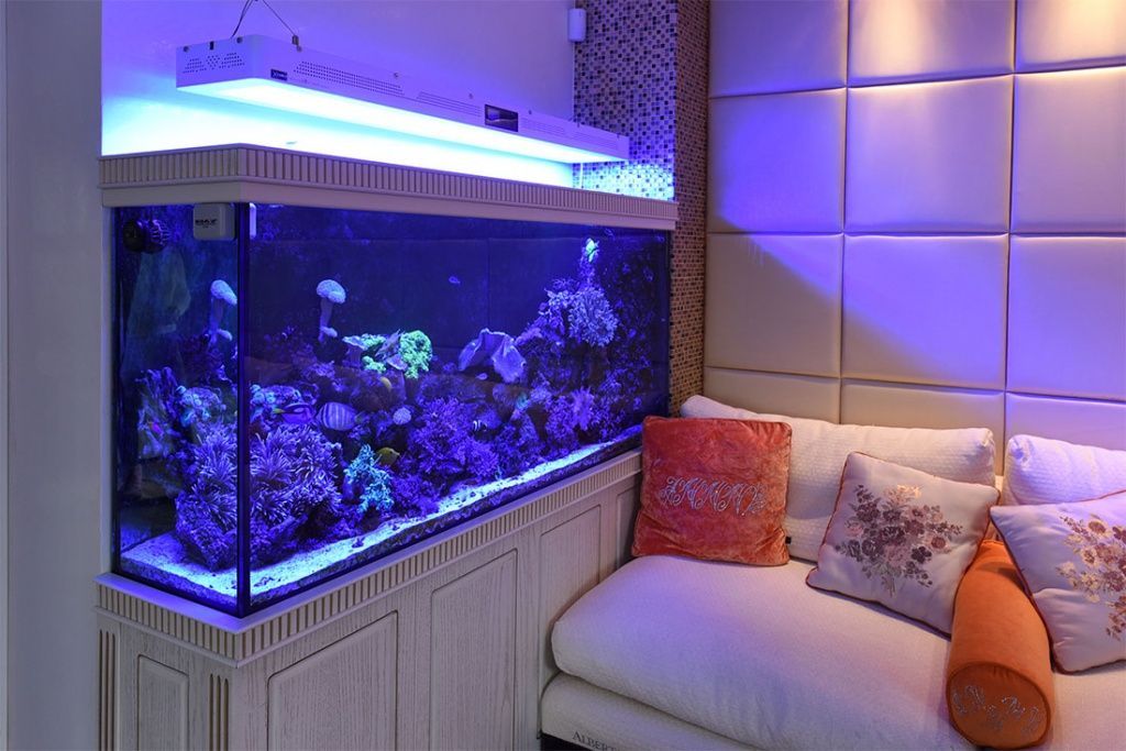 Как правильно купить аквариум?
