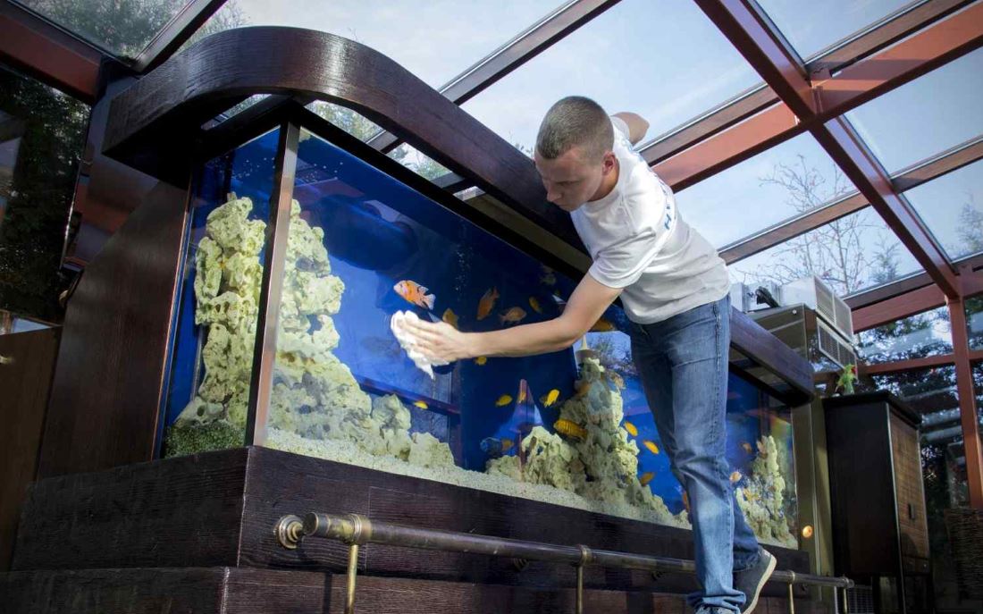 Экстренный перезапуск аквариума в Москве