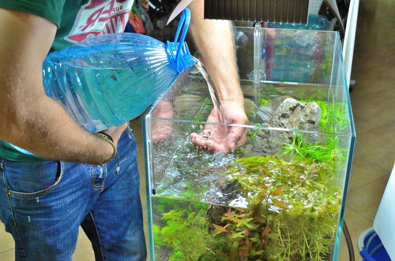 Самостоятельное наполнение аквариума водой