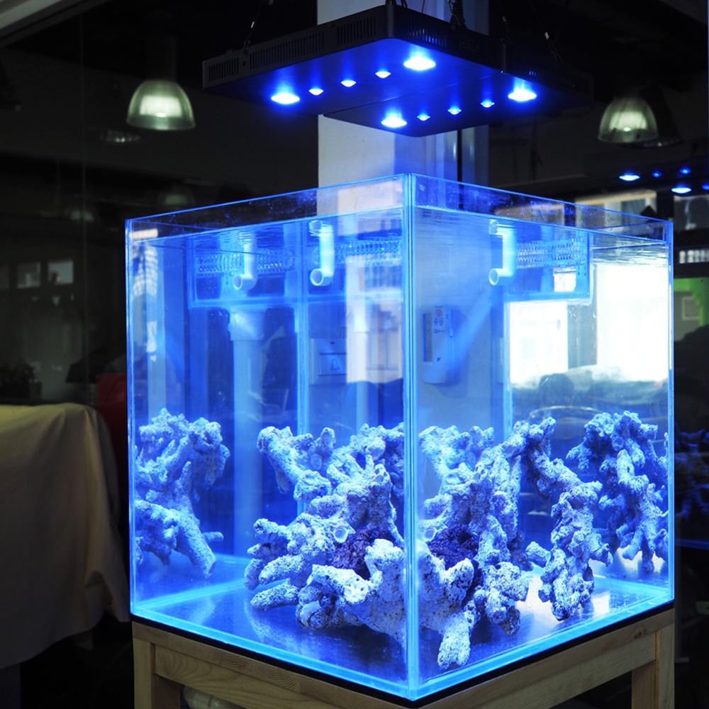 освещение аквариума фото