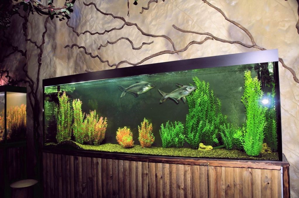 Изготовление пресноводного аквариума в Москве