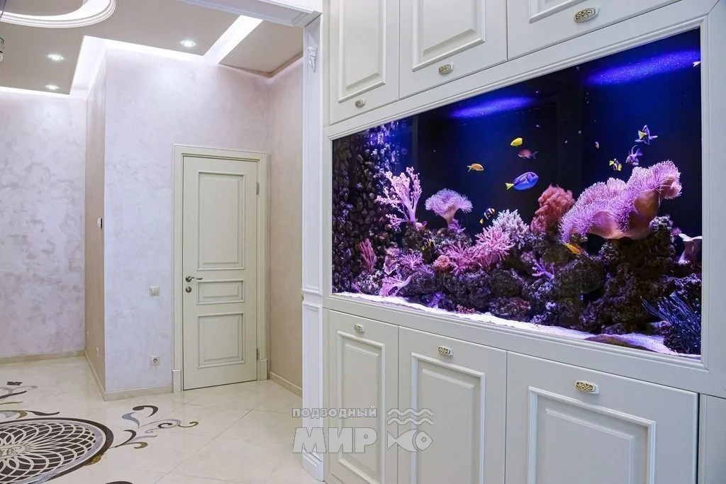 Морской рифовый аквариум «Коралловый риф» — фотография проекта