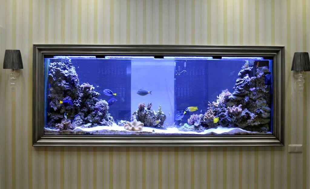 Морской аквариум с кораллами в Москве