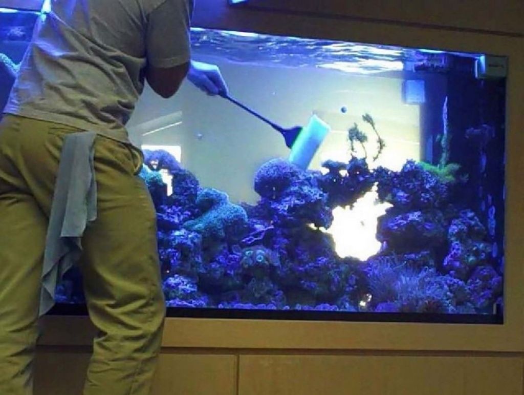 как чистить аквариум