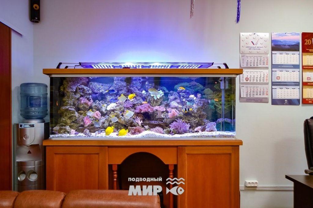 Морской аквариум от компании "Подводный Мир"