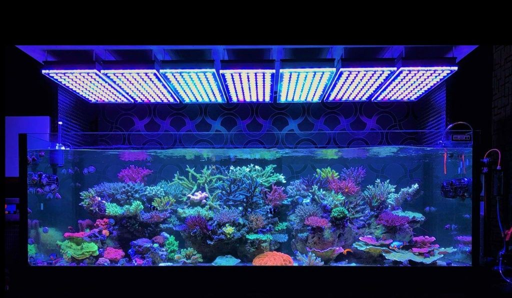 Правильное освещение аквариума