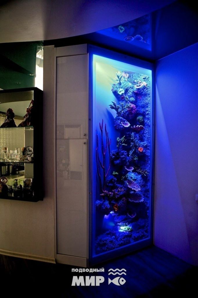 аквариум на 1500 литров размеры