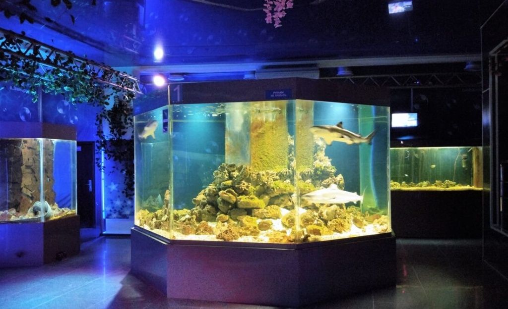 Восьмигранный, шестигранный аквариум на заказ в Москве