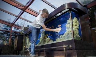 Чистка аквариумов в Москве
