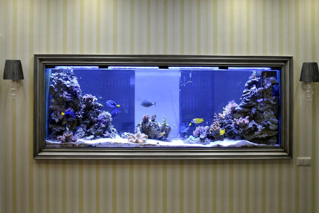 аквариум с кораллами купить в Москве