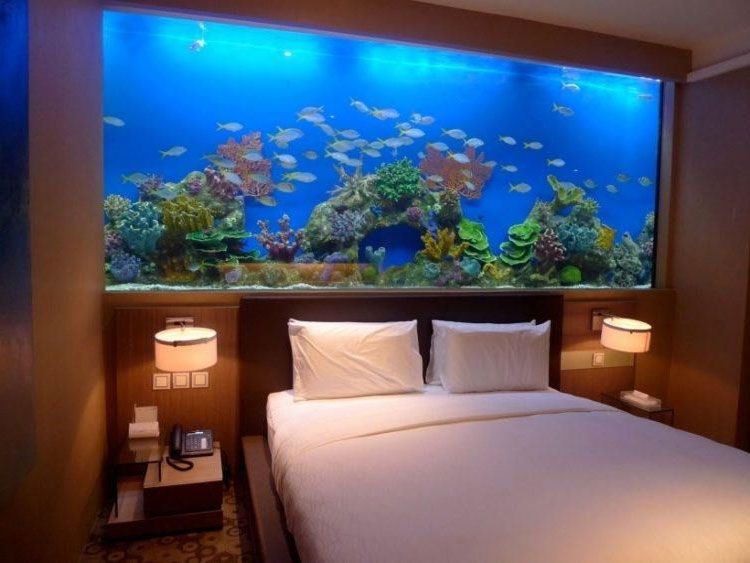 почему нельзя ставить аквариум в спальне