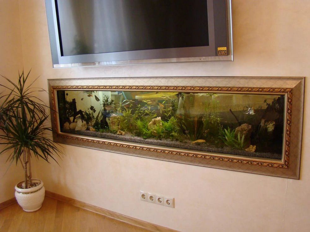 аквариум в стене