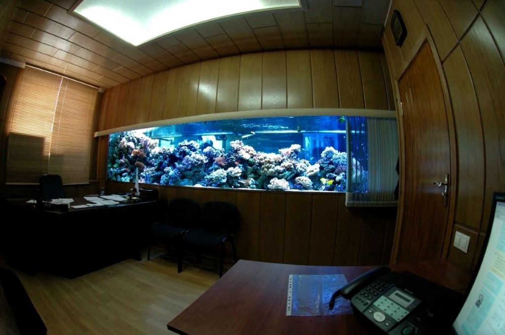 аквариум в стене на заказ