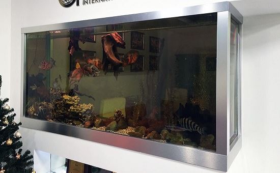 Встроенный аквариум на заказ в Москве Подводный мир