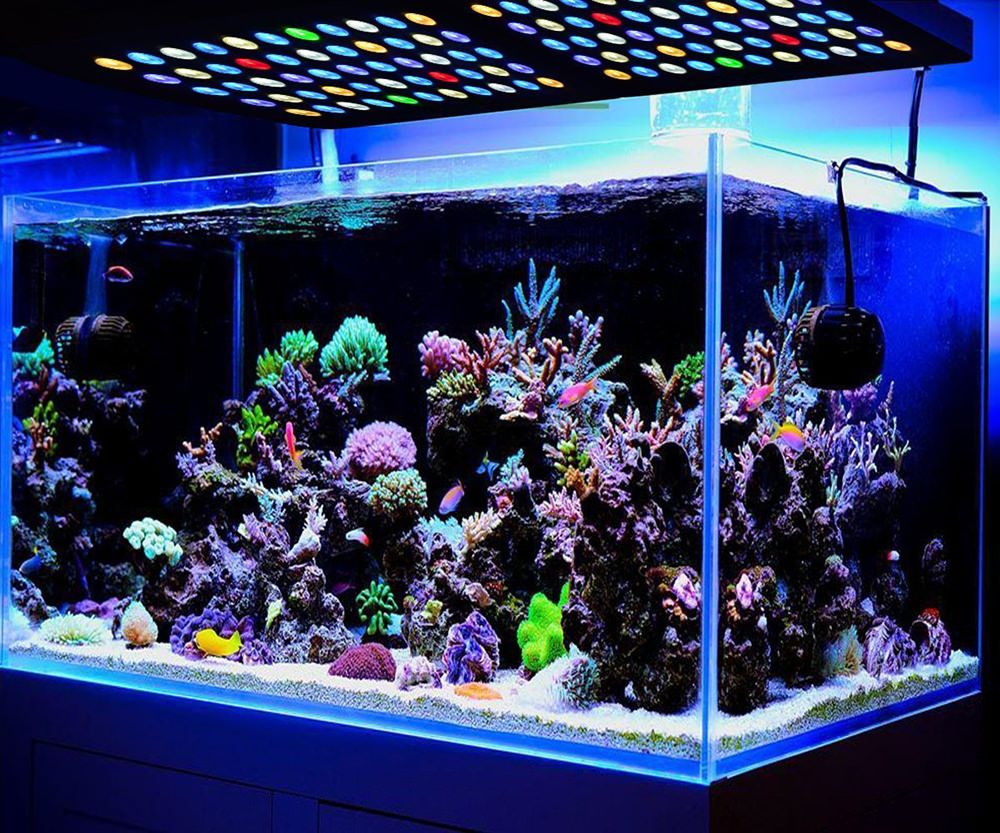 подсветка аквариума фото