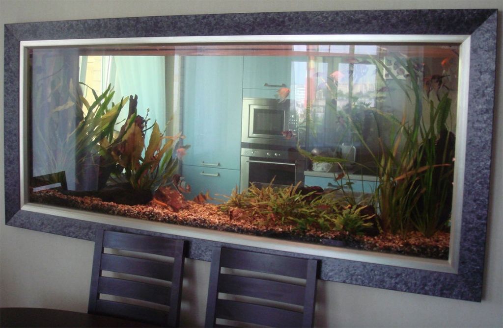 Межкомнатный аквариум в квартире