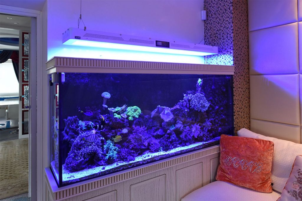 морской аквариум с кораллами в Москве 