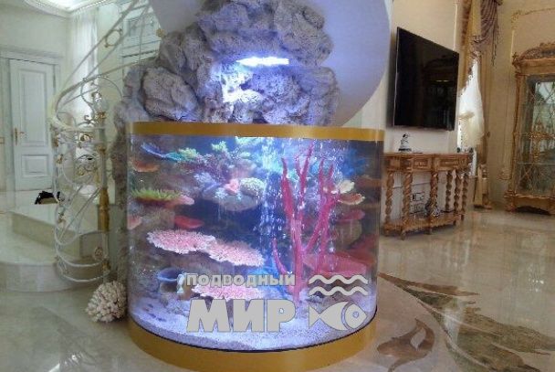 Люксовый аквариум "Что скрывает золотое дно"