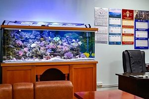 Морской аквариум на 900 литров в кабинете у директора - фото 5