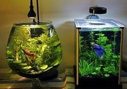 Формы аквариумов