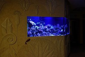 Встроенный аквариум с кораллами под заказ в москве - фото 3