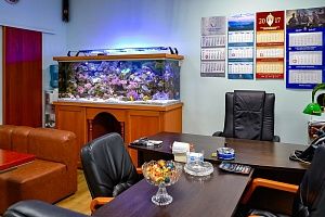 Морской аквариум на 900 литров в кабинете у директора - фото 6