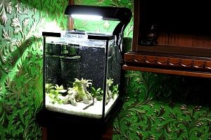 Купить голландский аквариум в Москве на заказ - фото 1