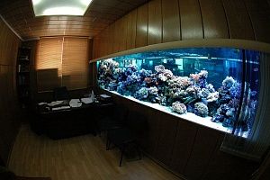 Изготовление морских аквариумов с жесткими кораллами в Москве  - фото 1
