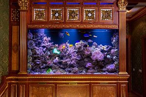 Морской Элитный аквариум на 2500 литров - фото 2