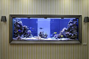 Рифовый аквариум под заказ в Москве - фото 0
