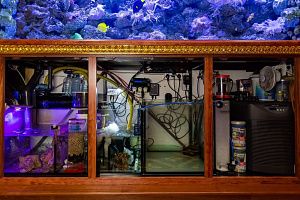 Морской Элитный аквариум на 2500 литров - фото 6