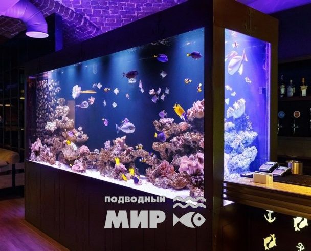 Большой аквариум «под ключ» в ресторане « РЫБА МЕЧТЫ»