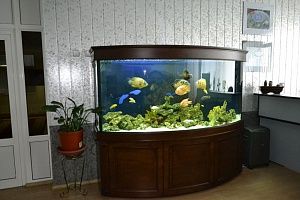 Пресноводный  аквариум на 900 литров - фото 1