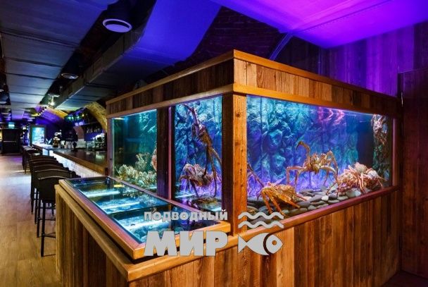 Холодный аквариум «под ключ» в ресторане «РЫБА МЕЧТЫ»