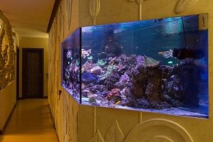 Встроенный аквариум с кораллами под заказ в москве - фото 7