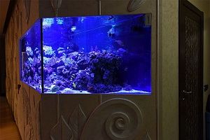 Встроенный аквариум с кораллами под заказ в москве - фото 5