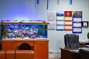 Морской аквариум на 900 литров в кабинете у директора - фото 3