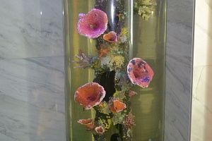 Изготовление аквариуму цилиндр под псевдоморе  в SPA комнате в Москве - фото 1