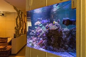Встроенный аквариум с кораллами под заказ в москве - фото 6