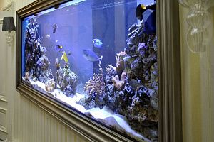 Рифовый аквариум под заказ в Москве - фото 2