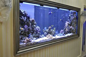 Рифовый аквариум под заказ в Москве - фото 1